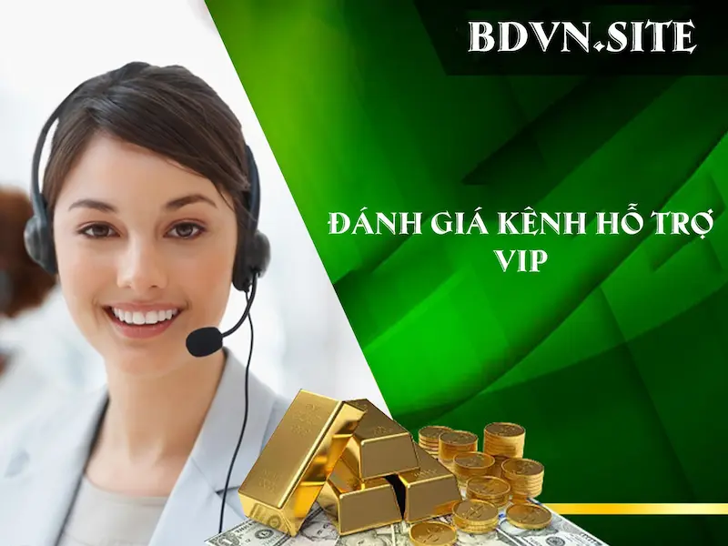 Kênh hỗ trợ VIP độc quyền của thành viên