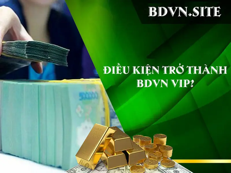 Điều kiện trở thành tài khoản BDVN VIP?