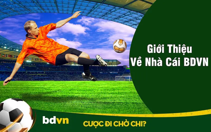 Giới thiệu về nhà cái BDVN