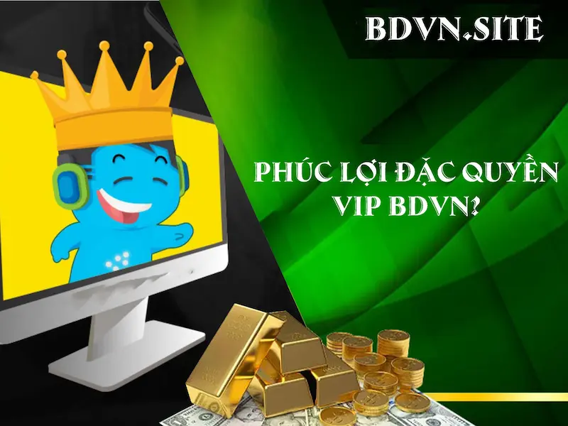 Phúc lợi đặc quyền của tài khoản VIP BDVN?