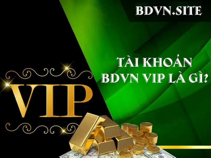 Tài khoản BDVN VIP là gì?